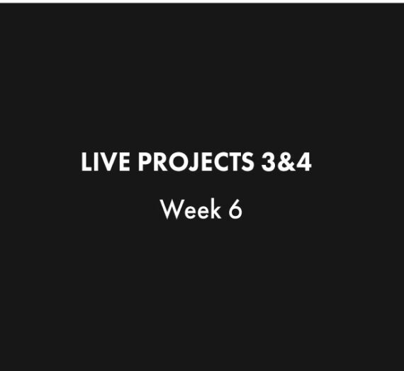 Live Project Briefings