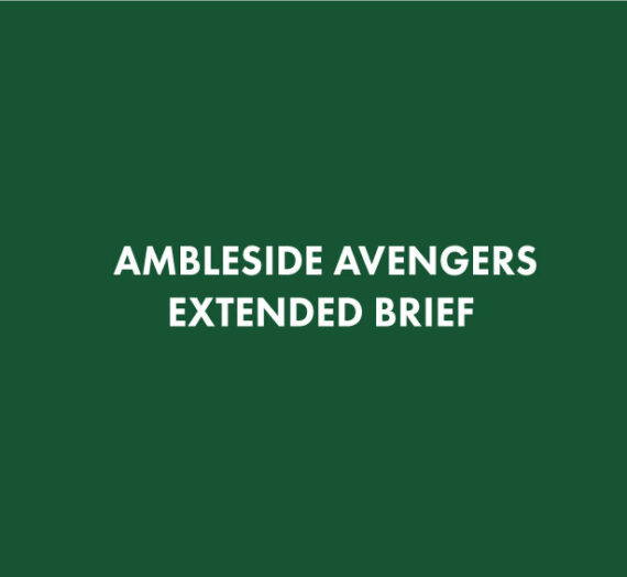 Ambleside Avengers STAGE 2