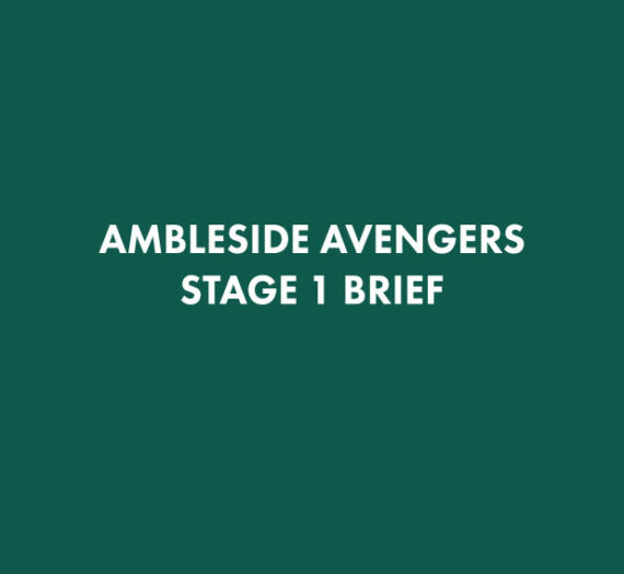 Ambleside Avengers STAGE 1
